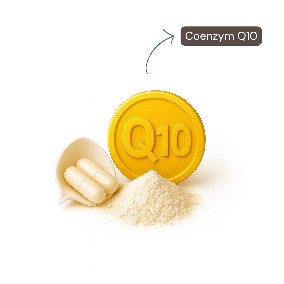 Coenzym Q10 Kapseln-1