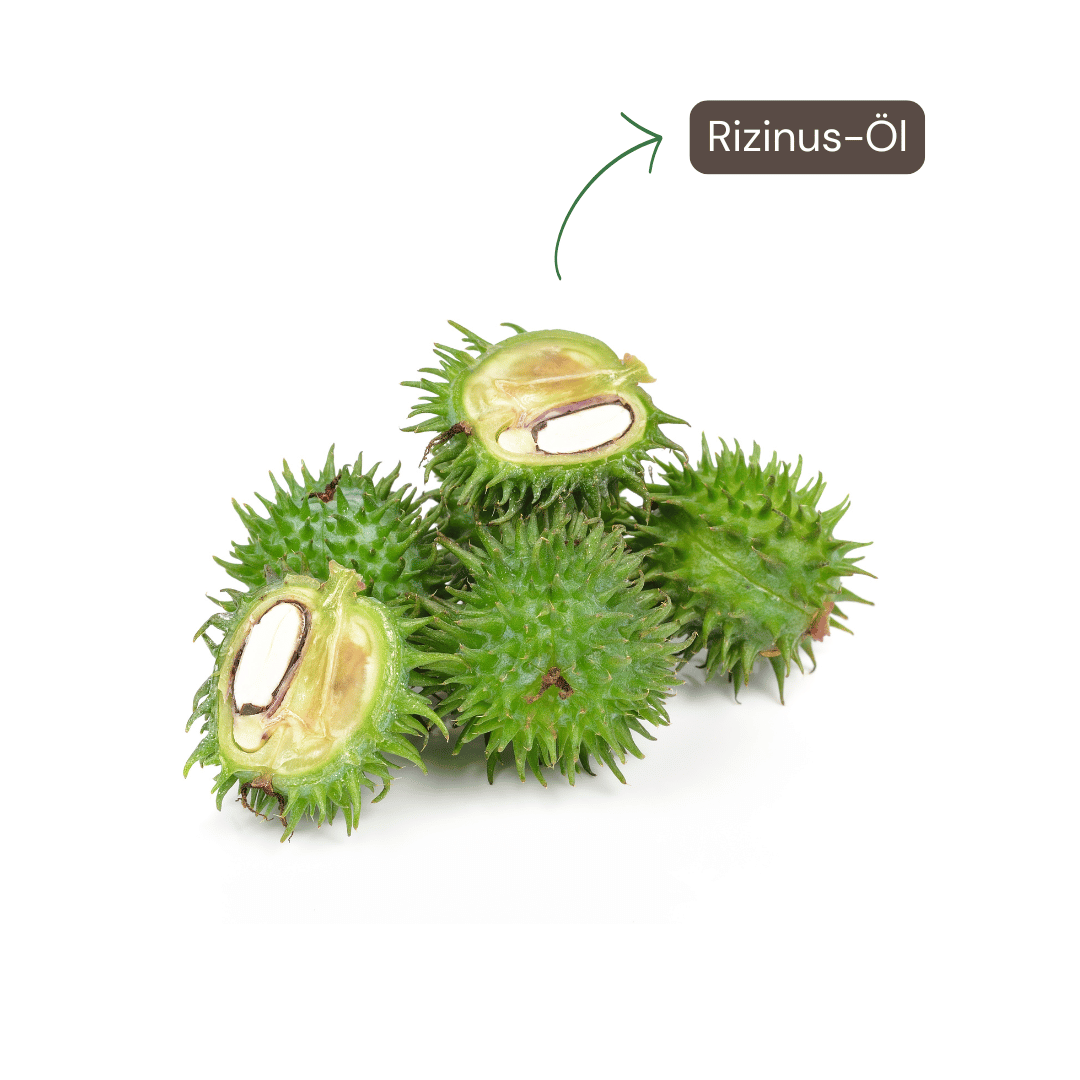 Rizinusöl, Haar-, Wimpern- und Brauen-Boost, 100ml-1