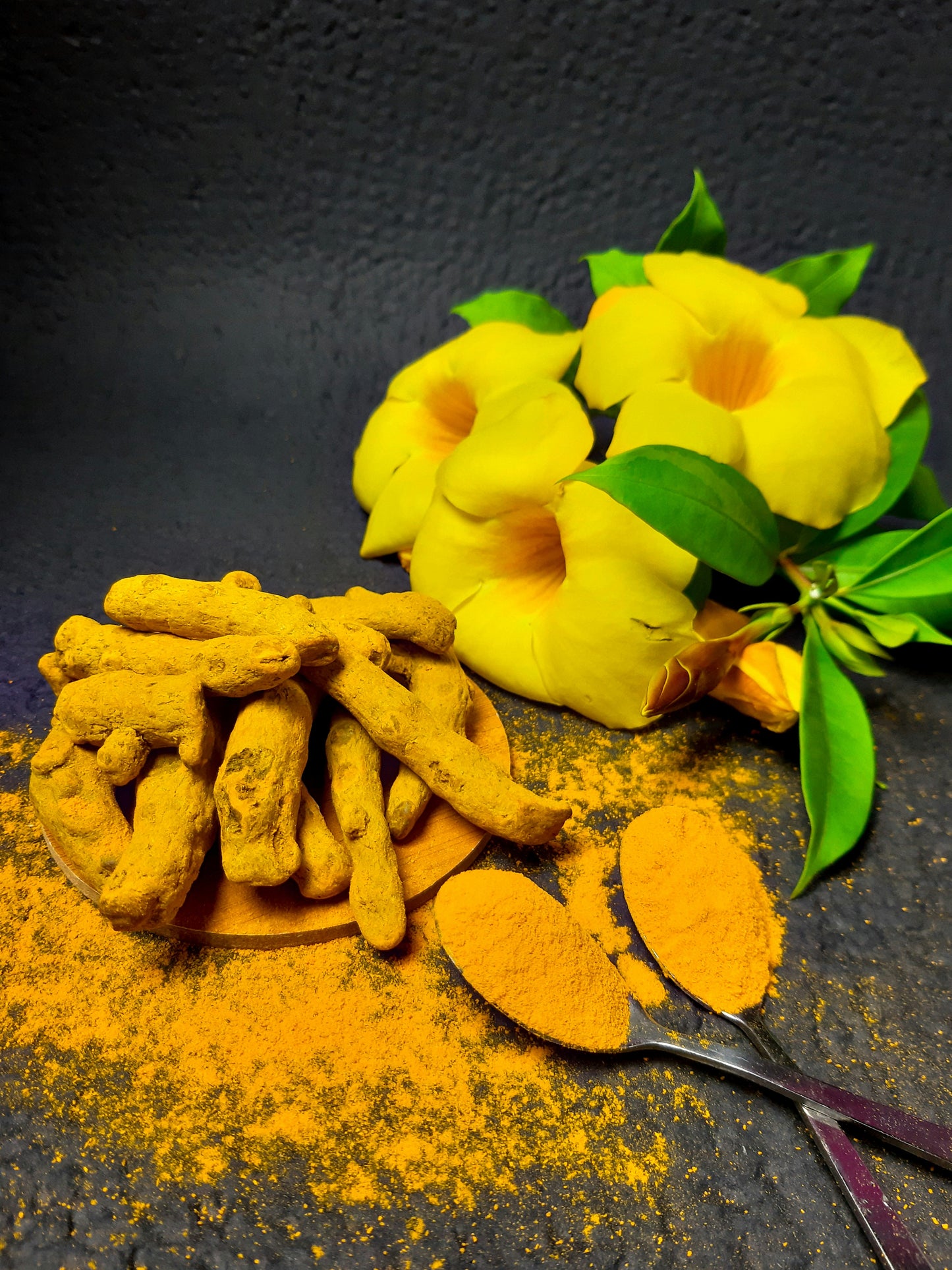 Turmeric Powder-2