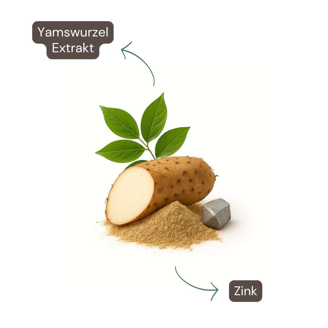 Yamswurzel Extrakt Kapseln-1