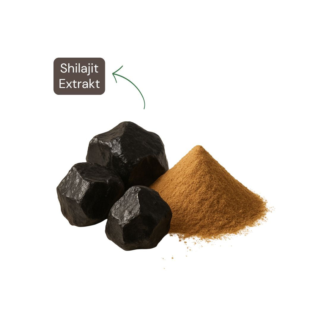 Shilajit Kapseln-1