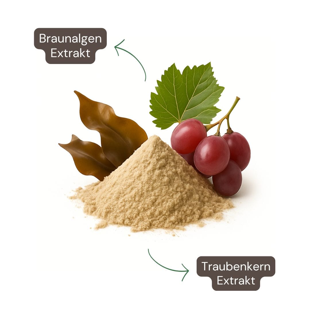 Fett & Carb Blocker-1