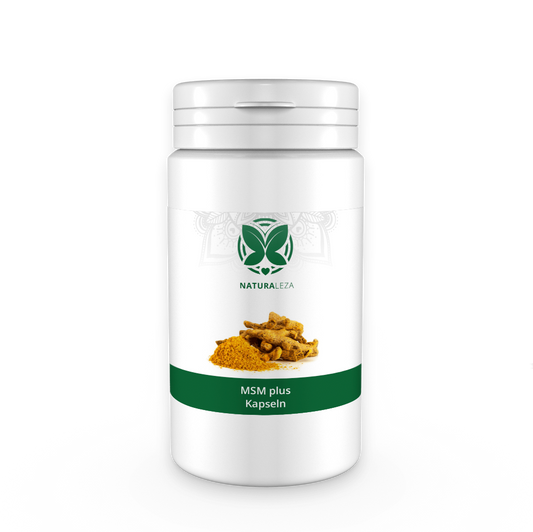 MSM Plus Kapseln-0
