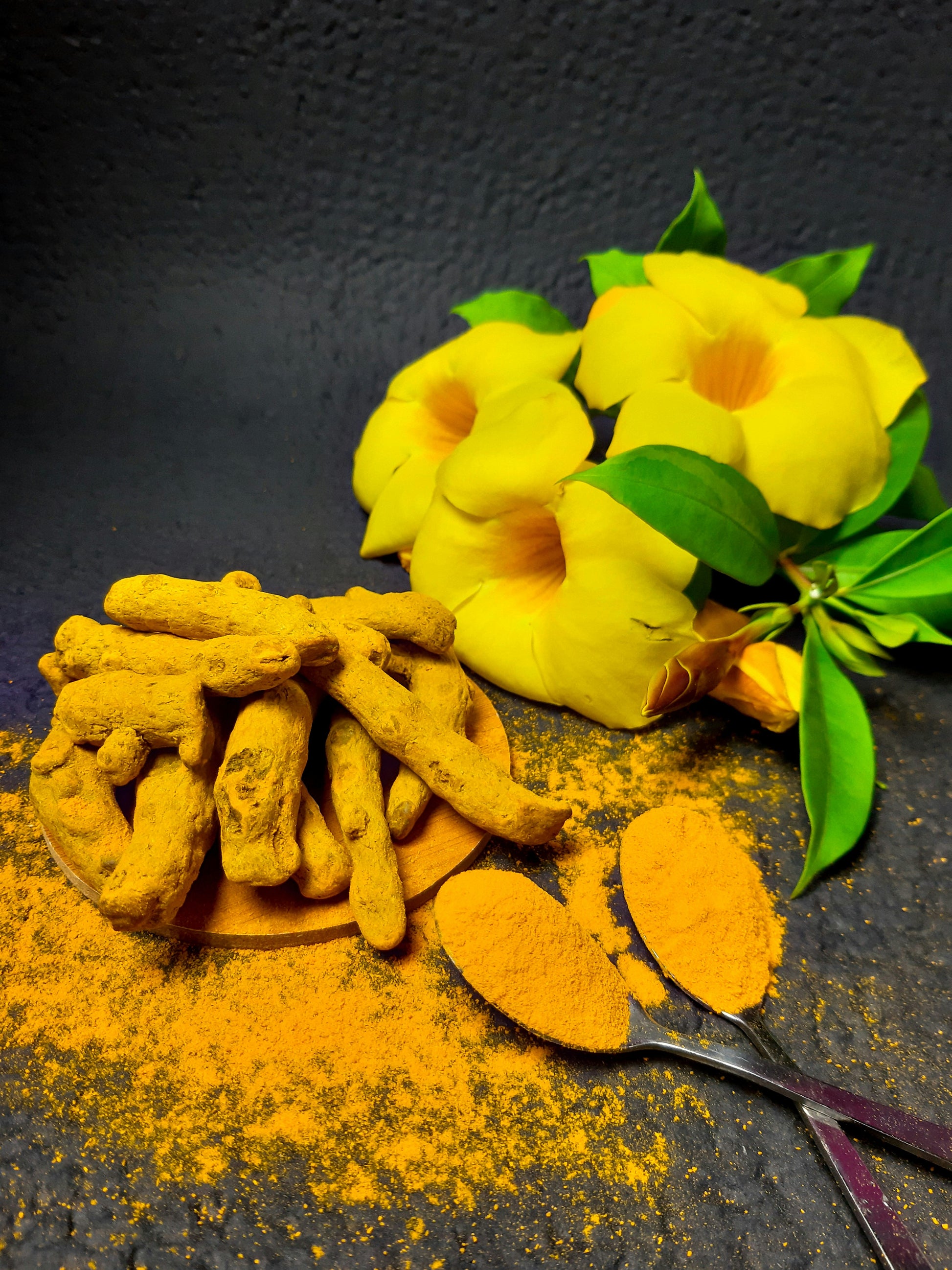 Turmeric Powder-2